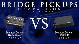 Seymour Duncan BLACK WINTER vs BLACKOUTS - Bridge Pickup Guitar Tone Comparison Demo