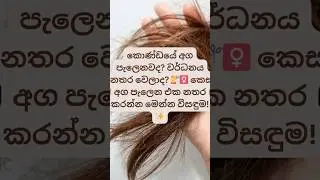කොණ්ඩය අග පැලෙන එක නතර කරගන්න රහස! 💇&zwj;♀️✨ #shorts #haircare #viral #beauty
