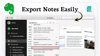 How To Export All Notes Evernote (All Notes Backup)