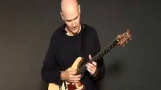 PRS SE Custom Semi-Hollow Demo