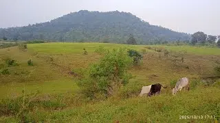 prakrutik najara prakrutik view Jammu sangvari Mangla Jay Johar