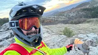 Traildogs don&rsquo;t bite