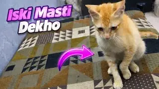 Iskii Masti Dekho 🤣😂| Bohot Masti Khor Hai 🤭 || Ahtesham Vlogs 