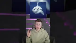 The Biggest And Most Useless Fish In The Ocean #Shorts