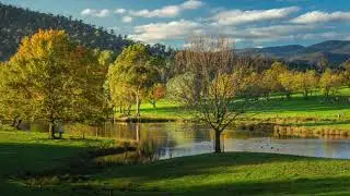 The Green & Gold Tranquil Beauty of Rosewhite, Victoria Australia. Music by Cliff Faulks