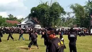 Tes putih psht jember 2019 siswa sumberbaru