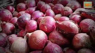 #Layyahsabzimandi #layyah   Fresh vegetables | Layyah sabzi mandi ki tazi sabzi | Layyah sabz mandi