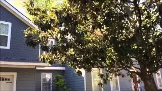 Hardie Staggered Edge Shake Siding Replacement in South Charlotte