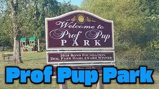 Tennessee Todd & Diane at Prof Pup Dog Park - Good or Bad?