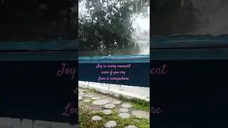 Rain whispers🌧 #healingvibes #rain #rainsounds #calmmind  #naturevibes #mindfulnature #seaandsoil`