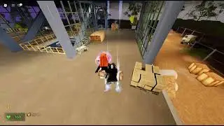 Roblox - Noob to Pro (Speedruns) 2