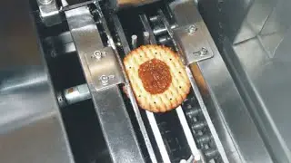 High-Quality Single Lane Sandwiching Machine with Better Price Produce- Apex Machinery
