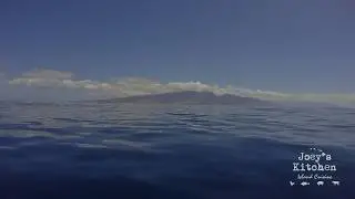 Joeys Kitchen & Sea Maui Catamaran