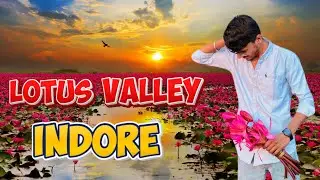 Lotus Valley Gulawat Indore | Perfect Destination for Photography Gulawat Valley Indore | #indore 