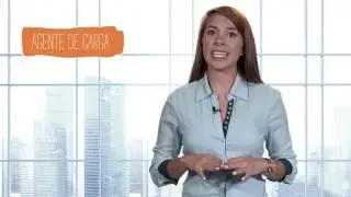 Gesti&oacute;n de carga en el transporte a&eacute;reo