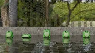 Them Frogs