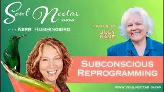 Subconscious Reprogramming with Judy Kane on Soul Nectar Show