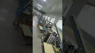 automatic Egg Tart Shell Machine / Tartlet Shell Maker Machine / Egg Tart Making Machine#snacks