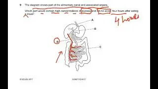 5090 O LEVEL BIOLOGY MCQ NOV 2017