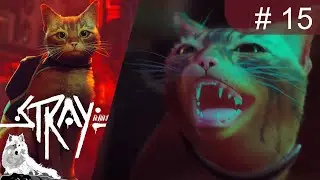 Let's Play Stray [German][PS5][#15][blind] - Ganz doll b&ouml;se Katze