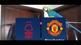 Nottingham Forest vs Manchester United Prediction - Premier League - Parrot Prediction