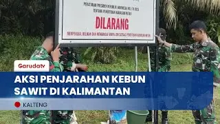 Aksi Penjarahan Kelapa Sawit Semakin Merajalela, Satgas Penertiban Dibentuk