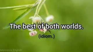 The Best Of Both Worlds (idiom.) Meaning And Usage