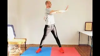 Gentle Exercise15min beginner cardio, mobility, strength and balance daily essentials routine