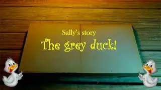 The Sally's story 