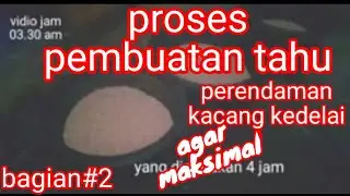 proses pembuatan tahu Bagian #2 || cara merendam kacang kedelai