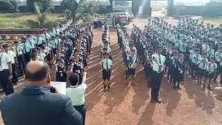 Unity - Pledge