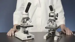 Selecting the Right Microscope for Elementary and Middle School
