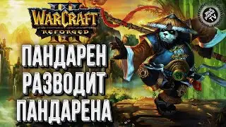 ПАНДА РАЗВОДИТ ПАНДУ: TGW (Ne) vs Anima (Hum) Warcraft 3 Reforged