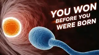 You Won Before You Were Born | The Greatest Race in Human Life | You Beat 300 Million Competitors