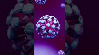 &ldquo;BSL-1 to BSL-4 Explained in 60 Seconds (From Normal Lab to Ebola Lab)&rdquo; #bslive #biosafety #bsl46ers
