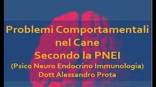 Problemi Comportamentali nel cane secondo la PNEI