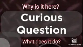 What happens when you press the 