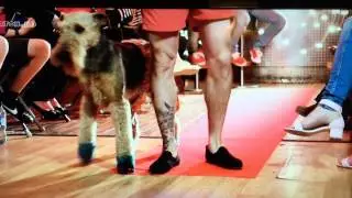 Butlers with Bums on Watch TV modelling for the Dogy Hotel at legends Brighton.