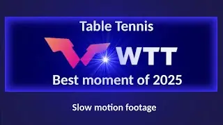 WTT: Лучший момент в настольном теннисе 2025 года #WTT #настольныйтеннис