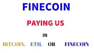 We Decide How FINECOIN Pays Us