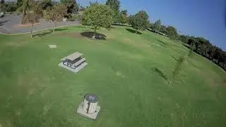 Impulse rc mr steele alien 5