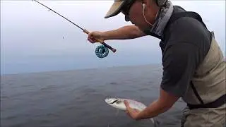 flyfish4fun.se ( Om flugfiske efter havs&ouml;ring 2 )