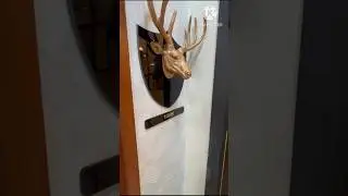 1BHK Flat in Taloja Navi Mumbai | Modern Interior Tour 🏡Affordable 1BHK in Taloja #viralvideo