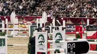 EQS Gwinnru De Kernevez - winner 1.50 Grand Prix - 1 round