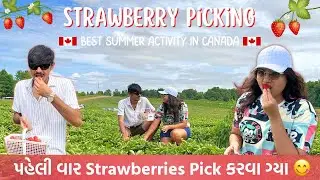 Peli Var Strawberries Pick Karva Gya 😋| Brantwood Farms, Ontario 🇨🇦
