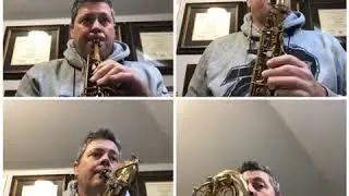 Alley Cat - Frank Bjorn