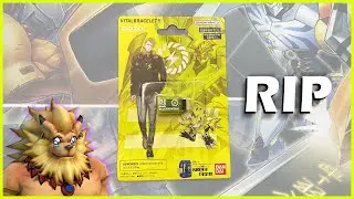 Pulsemon Dim - The Final BE Memory