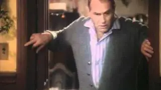 Dogs eat the turkey