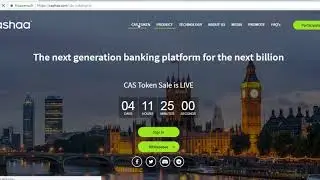 Обзор ICO Cashaa