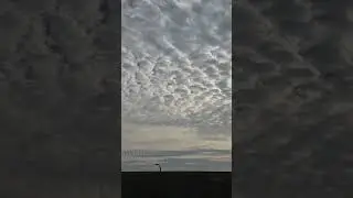 Beautiful Clouds #texas #2026 #clouds #sky #ytshorts #beautiful #nature #scenery #fyp #peaceful